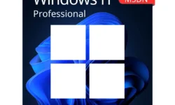 ویندوز اورجینال 11 پرو